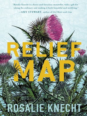 cover image of Relief Map